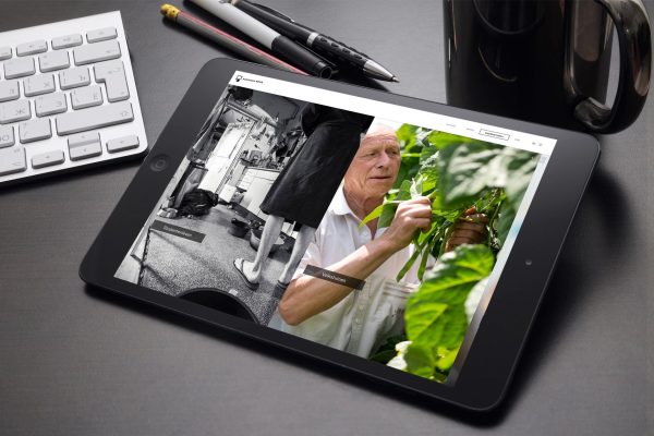 creación de sitios web patriciarehe tablet